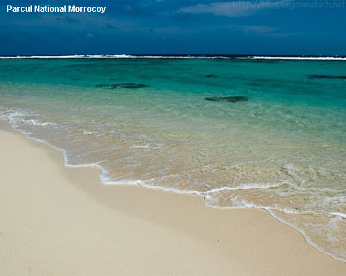 Vacanta in Parcul National Morrocoy, vacante de vis, calatorie, insule si locuri de scufundat, top plaje de vis