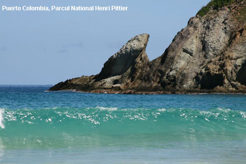 Vacanta in Puerto Colombia, Parcul National Henri Pittier, vacante de vis, calatorie, insule si locuri de scufundat, top plaje de vis
