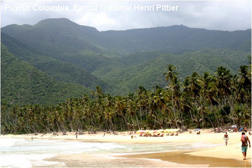 Vacanta in Puerto Colombia, Parcul National Henri Pittier, vacante de vis, calatorie, insule si locuri de scufundat, top plaje de vis