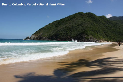 Vacanta in Puerto Colombia, Parcul National Henri Pittier, vacante de vis, calatorie, insule si locuri de scufundat, top plaje de vis