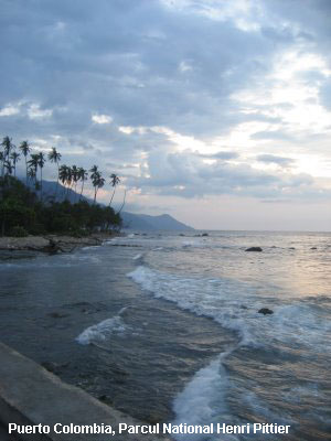 Vacanta in Puerto Colombia, Parcul National Henri Pittier, vacante de vis, calatorie, insule si locuri de scufundat, top plaje de vis