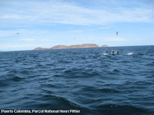 Vacanta in Puerto Colombia, Parcul National Henri Pittier, vacante de vis, calatorie, insule si locuri de scufundat, top plaje de vis