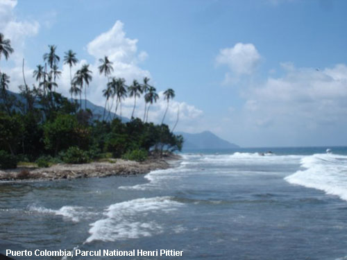 Vacanta in Puerto Colombia, Parcul National Henri Pittier, vacante de vis, calatorie, insule si locuri de scufundat, top plaje de vis