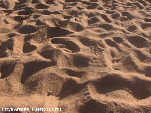 Vacanta in Playa Arapito, Puerto la Cruz, vacante de vis, calatorie, insule si locuri de scufundat, top plaje de vis