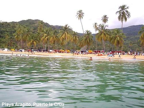 Vacanta in Playa Arapito, Puerto la Cruz, vacante de vis, calatorie, insule si locuri de scufundat, top plaje de vis