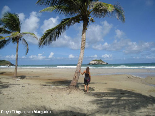 Vacanta in Playa El Agua, Isla Margarita, vacante de vis, calatorie, insule si locuri de scufundat, top plaje de vis