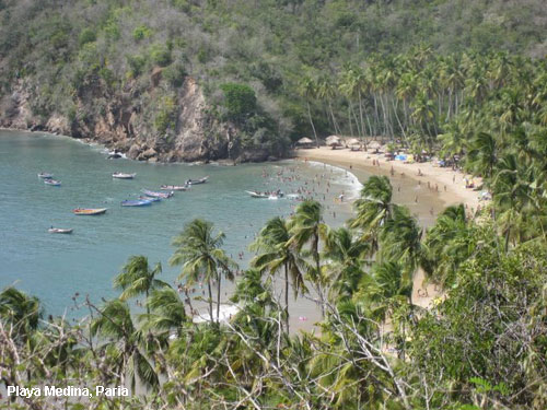 Vacanta in Playa Medina, Paria, vacante de vis, calatorie, insule si locuri de scufundat, top plaje de vis