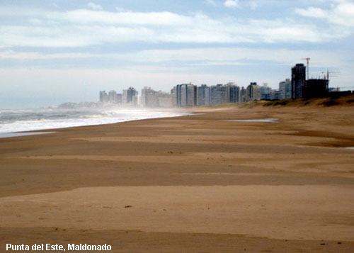 Vacanta in Punta del Este, Maldonado, vacante de vis, calatorie, insule si locuri de scufundat, top plaje de vis