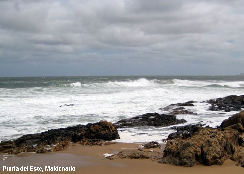 Vacanta in Punta del Este, Maldonado, vacante de vis, calatorie, insule si locuri de scufundat, top plaje de vis