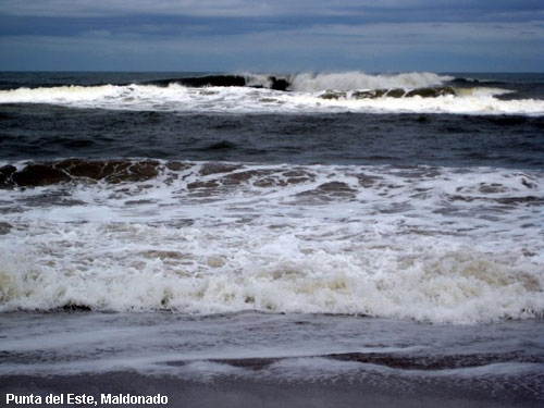 Vacanta in Punta del Este, Maldonado, vacante de vis, calatorie, insule si locuri de scufundat, top plaje de vis