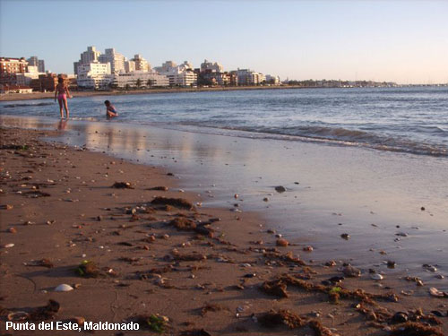 Vacanta in Punta del Este, Maldonado, vacante de vis, calatorie, insule si locuri de scufundat, top plaje de vis