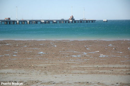 Vacanta in Puerto Madryn, vacante de vis, calatorie, insule si locuri de scufundat, top plaje de vis