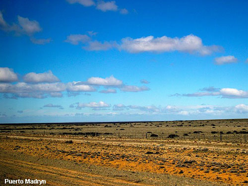 Vacanta in Puerto Madryn, vacante de vis, calatorie, insule si locuri de scufundat, top plaje de vis
