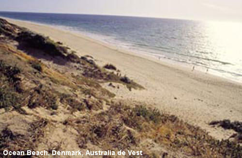 Vacanta in Ocean Beach, Denmark, Australia de Vest, vacante de vis, calatorie, insule si locuri de scufundat, top plaje de vis