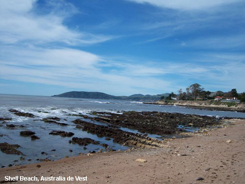 Vacanta in Shell Beach, Australia de Vest, vacante de vis, calatorie, insule si locuri de scufundat, top plaje de vis