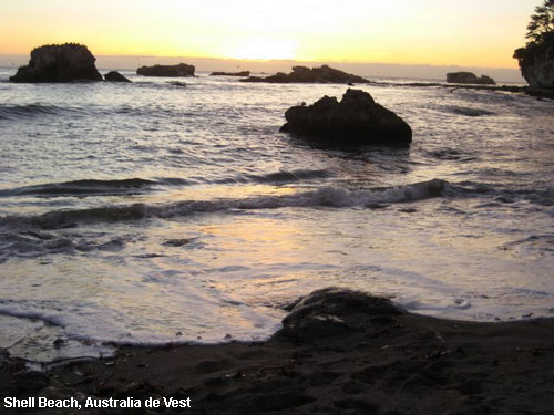 Vacanta in Shell Beach, Australia de Vest, vacante de vis, calatorie, insule si locuri de scufundat, top plaje de vis