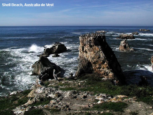 Vacanta in Shell Beach, Australia de Vest, vacante de vis, calatorie, insule si locuri de scufundat, top plaje de vis