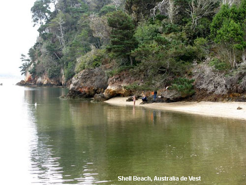 Vacanta in Shell Beach, Australia de Vest, vacante de vis, calatorie, insule si locuri de scufundat, top plaje de vis