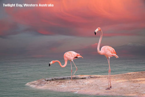 Vacanta in Twilight Bay, Western Australia, vacante de vis, calatorie, insule si locuri de scufundat, top plaje de vis