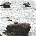 Vacanta in Portland Roads, Queensland, vacante de vis, calatorie, insule si locuri de scufundat, top plaje de vis