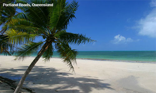Vacanta in Portland Roads, Queensland, vacante de vis, calatorie, insule si locuri de scufundat, top plaje de vis