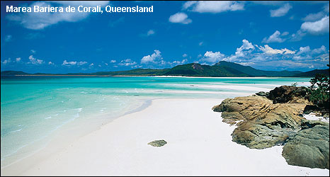 Vacanta in Marea Bariera de Corali, Queensland, vacante de vis, calatorie, insule si locuri de scufundat, top plaje de vis