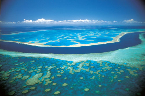 Vacanta in Marea Bariera de Corali, Queensland, vacante de vis, calatorie, insule si locuri de scufundat, top plaje de vis