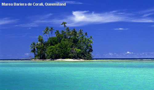Vacanta in Marea Bariera de Corali, Queensland, vacante de vis, calatorie, insule si locuri de scufundat, top plaje de vis
