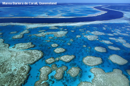 Vacanta in Marea Bariera de Corali, Queensland, vacante de vis, calatorie, insule si locuri de scufundat, top plaje de vis