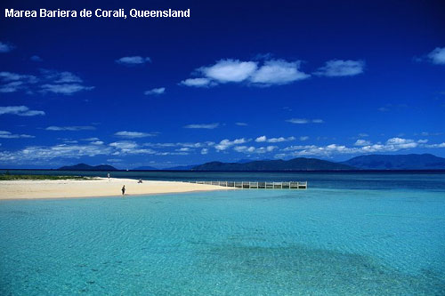Vacanta in Marea Bariera de Corali, Queensland, vacante de vis, calatorie, insule si locuri de scufundat, top plaje de vis