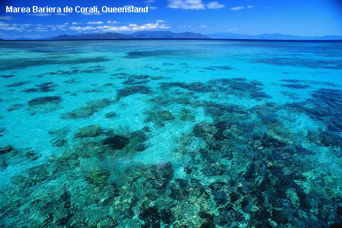 Vacanta in Marea Bariera de Corali, Queensland, vacante de vis, calatorie, insule si locuri de scufundat, top plaje de vis