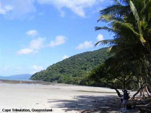 Vacanta in Cape Tribulation, Queensland, vacante de vis, calatorie, insule si locuri de scufundat, top plaje de vis