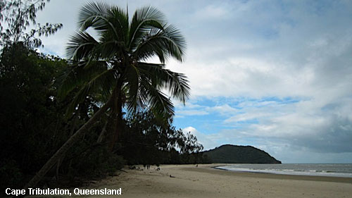 Vacanta in Cape Tribulation, Queensland, vacante de vis, calatorie, insule si locuri de scufundat, top plaje de vis
