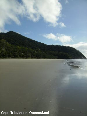 Vacanta in Cape Tribulation, Queensland, vacante de vis, calatorie, insule si locuri de scufundat, top plaje de vis