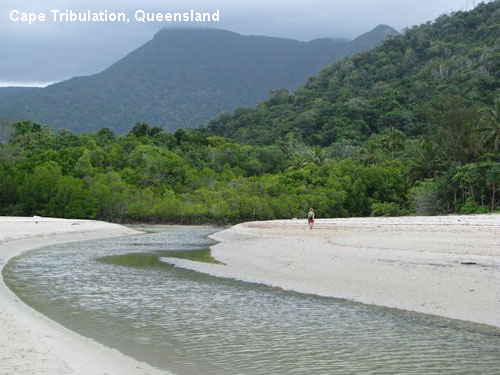 Vacanta in Cape Tribulation, Queensland, vacante de vis, calatorie, insule si locuri de scufundat, top plaje de vis