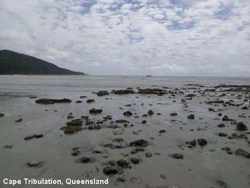 Vacanta in Cape Tribulation, Queensland, vacante de vis, calatorie, insule si locuri de scufundat, top plaje de vis