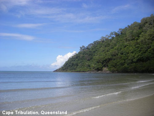 Vacanta in Cape Tribulation, Queensland, vacante de vis, calatorie, insule si locuri de scufundat, top plaje de vis