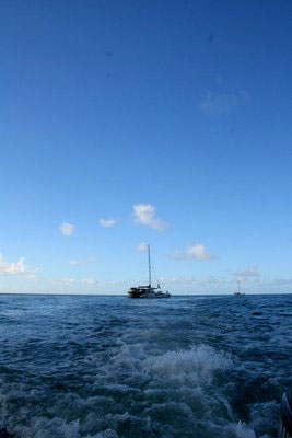 Vacanta in Cape Tribulation, Queensland, vacante de vis, calatorie, insule si locuri de scufundat, top plaje de vis
