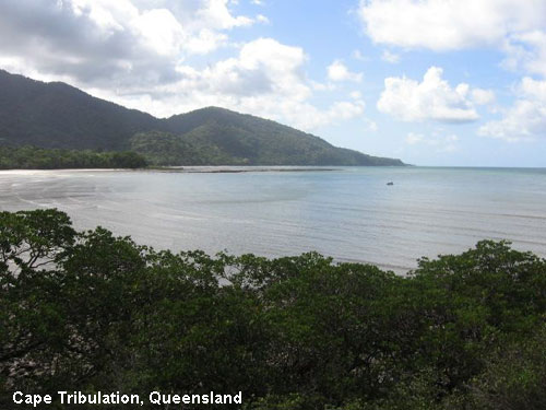 Vacanta in Cape Tribulation, Queensland, vacante de vis, calatorie, insule si locuri de scufundat, top plaje de vis