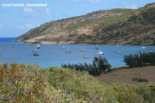 Vacanta in Lizard Island, Queensland, vacante de vis, calatorie, insule si locuri de scufundat, top plaje de vis