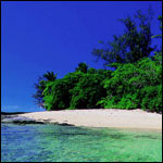 Vacanta in Low Isles, Queensland, vacante de vis, calatorie, insule si locuri de scufundat, top plaje de vis