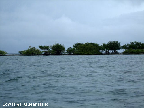 Vacanta in Low Isles, Queensland, vacante de vis, calatorie, insule si locuri de scufundat, top plaje de vis