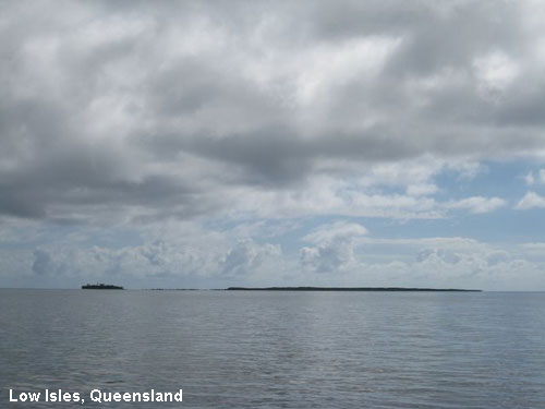 Vacanta in Low Isles, Queensland, vacante de vis, calatorie, insule si locuri de scufundat, top plaje de vis