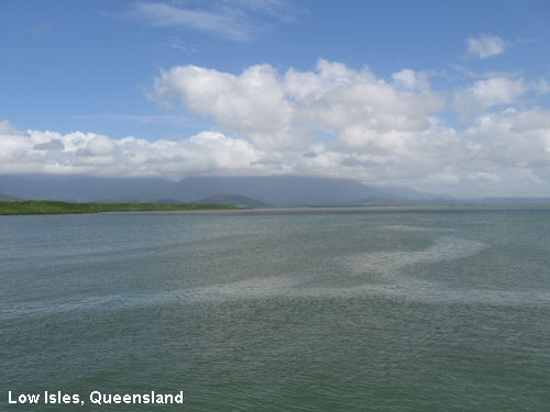 Vacanta in Low Isles, Queensland, vacante de vis, calatorie, insule si locuri de scufundat, top plaje de vis