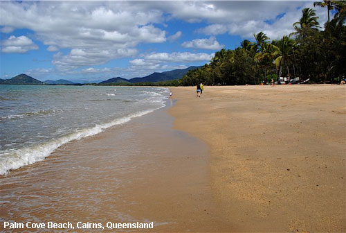 Vacanta in Palm Cove Beach, Cairns, Queensland, vacante de vis, calatorie, insule si locuri de scufundat, top plaje de vis