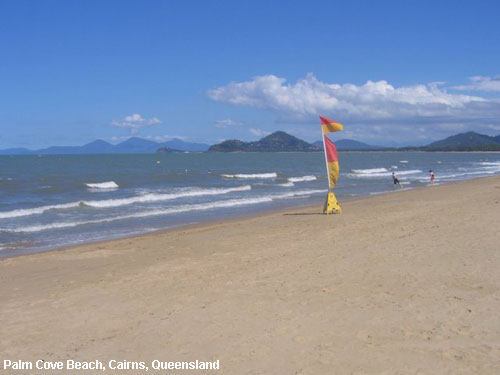 Vacanta in Palm Cove Beach, Cairns, Queensland, vacante de vis, calatorie, insule si locuri de scufundat, top plaje de vis