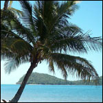 Vacanta in Palm Cove Beach, Cairns, Queensland, vacante de vis, calatorie, insule si locuri de scufundat, top plaje de vis