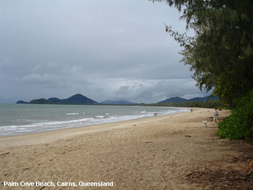 Vacanta in Palm Cove Beach, Cairns, Queensland, vacante de vis, calatorie, insule si locuri de scufundat, top plaje de vis