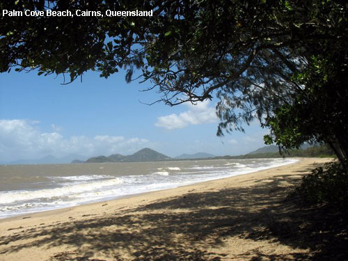 Vacanta in Palm Cove Beach, Cairns, Queensland, vacante de vis, calatorie, insule si locuri de scufundat, top plaje de vis