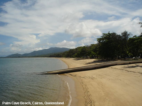 Vacanta in Palm Cove Beach, Cairns, Queensland, vacante de vis, calatorie, insule si locuri de scufundat, top plaje de vis